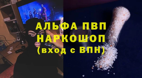 гидра Покачи