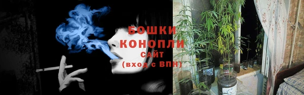 сатива Елизово