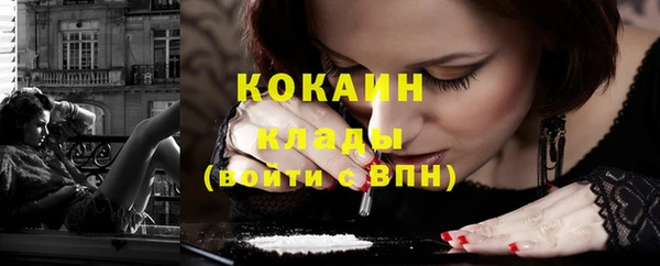 сатива Елизово